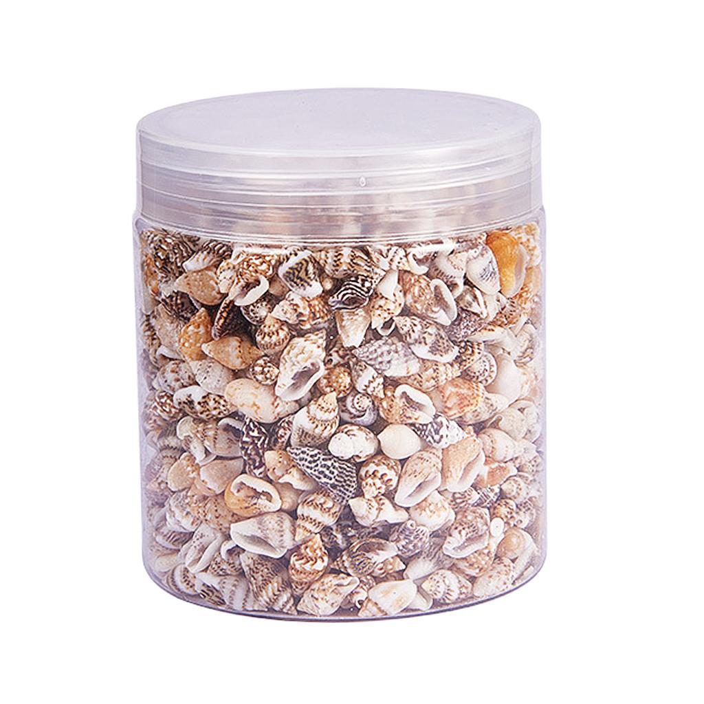 Natural Seashells Box Vibrant  - Jewelry Making Event recensie en prijs