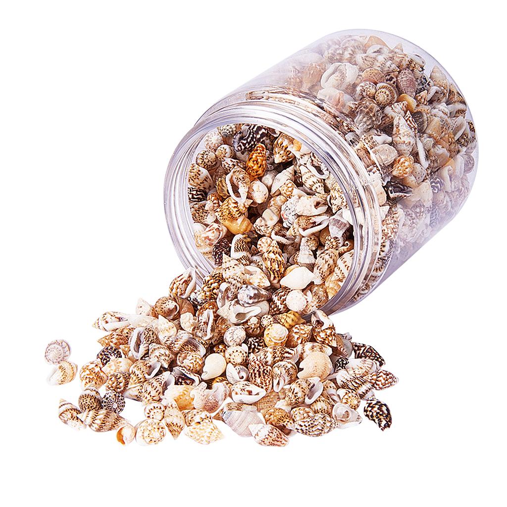 Natural Seashells Box Vibrant  - Jewelry Making Event recensie en prijs