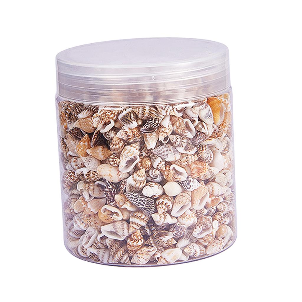 Natural Seashells Box Vibrant  - Jewelry Making Event recensie en prijs