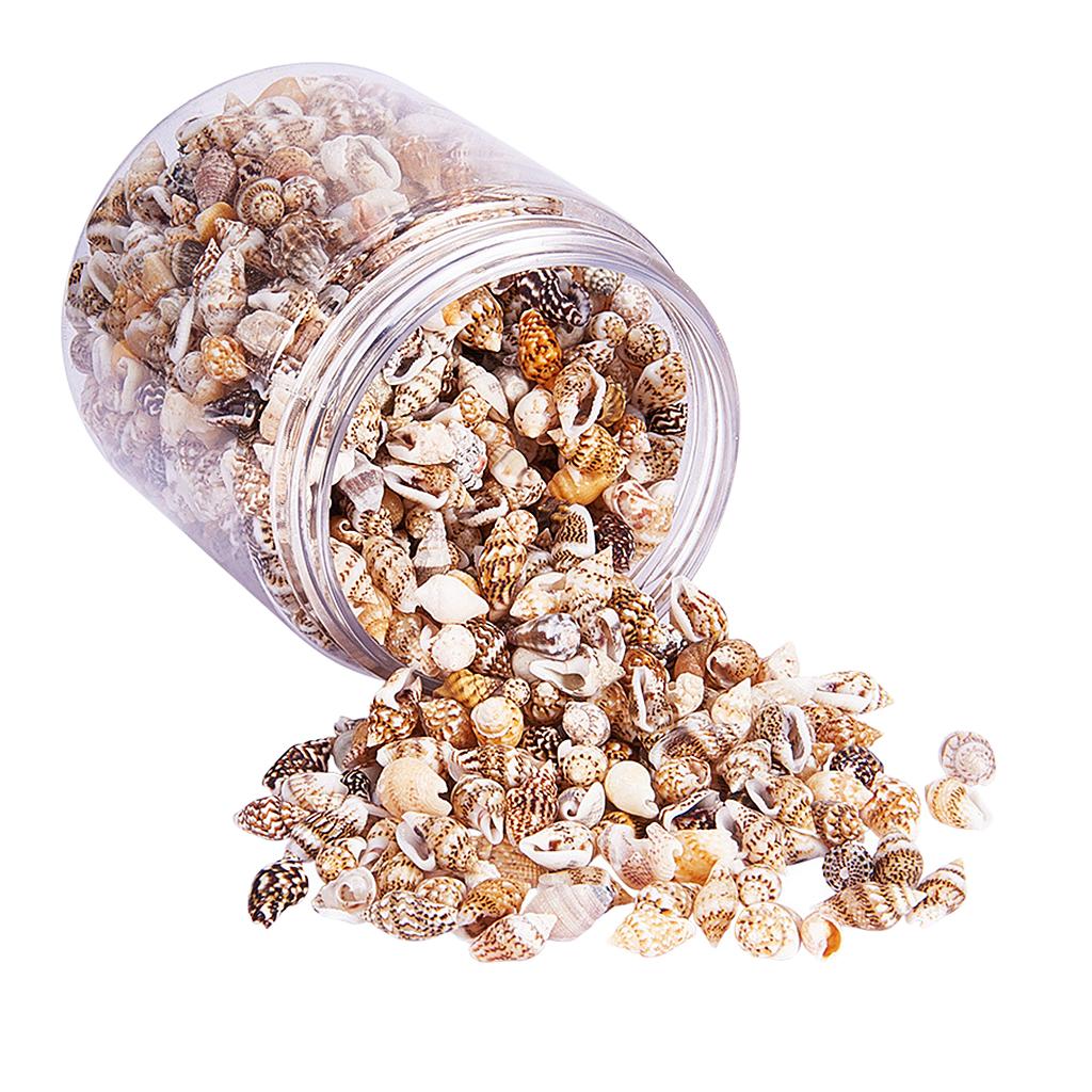 Natural Seashells Box Vibrant  - Jewelry Making Event recensie en prijs